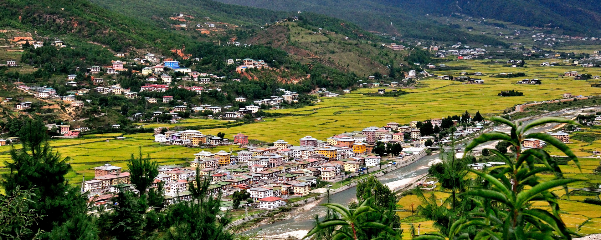 Paro town